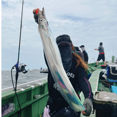 タチウオの釣果