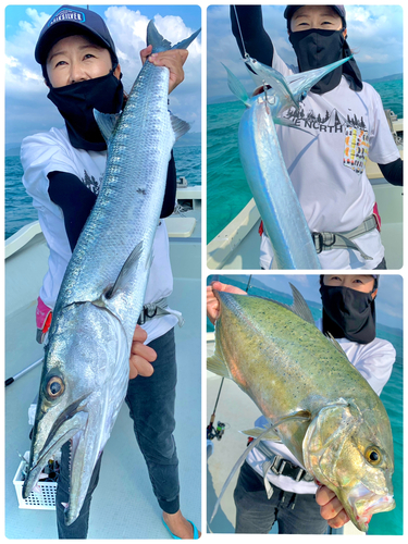 オニカマスの釣果