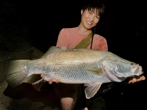 アカメの釣果