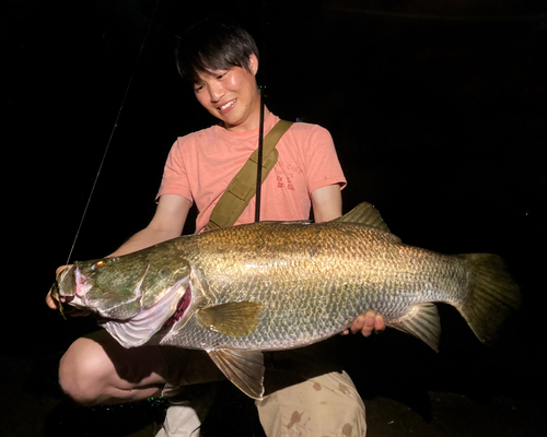 アカメの釣果