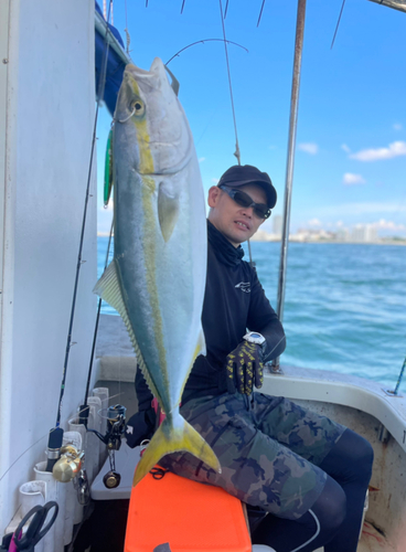 メジロの釣果