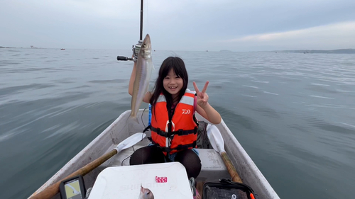 キスの釣果