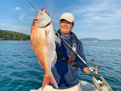 マダイの釣果