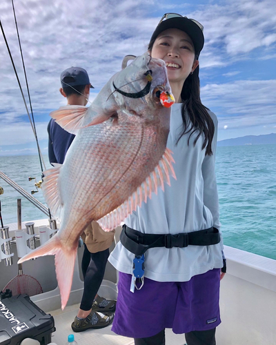 マダイの釣果