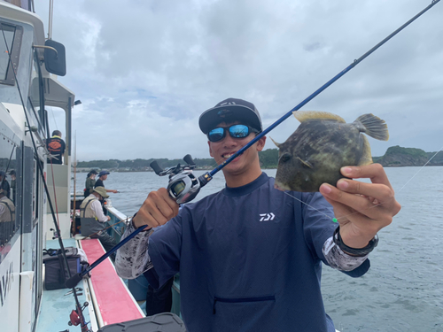 カワハギの釣果