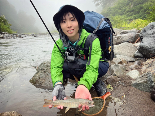 ニッコウイワナの釣果