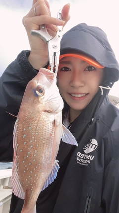 タイの釣果