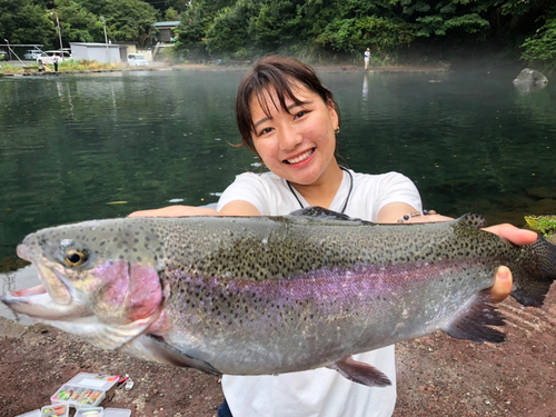 ニジマスの釣果