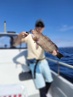 オオモンハタの釣果