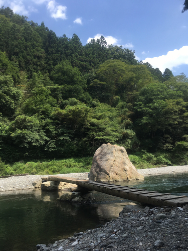 トラウトの釣果