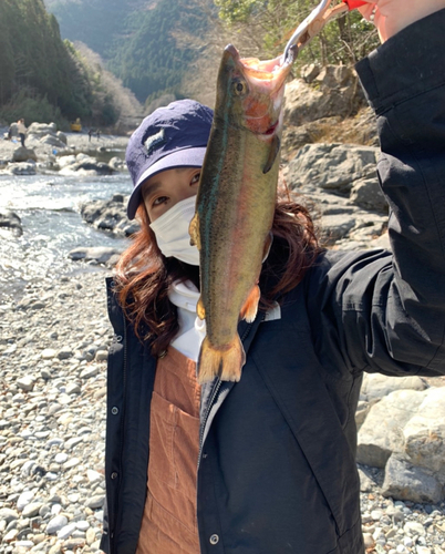 ニジマスの釣果