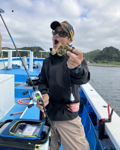 カワハギの釣果