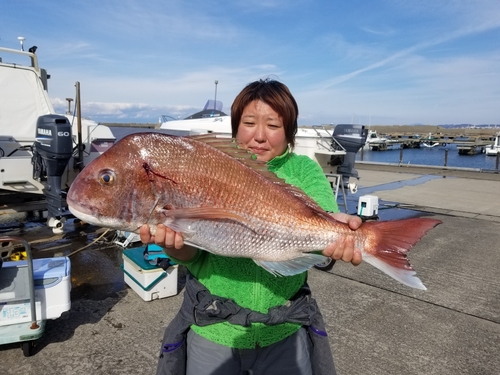 マダイの釣果