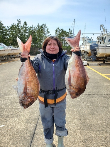 マダイの釣果