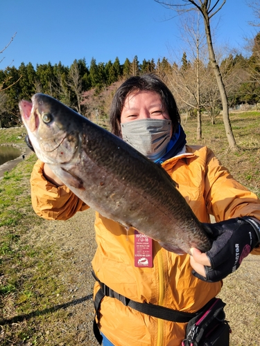 ロックトラウトの釣果