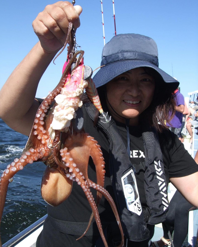 タコの釣果