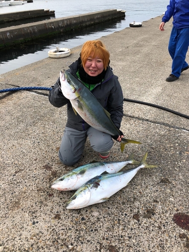 ワラサの釣果