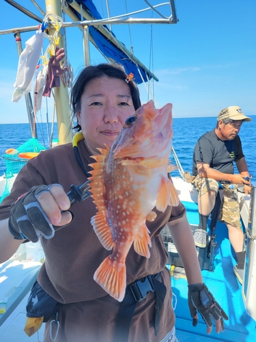 オキメバルの釣果