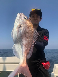 タイの釣果