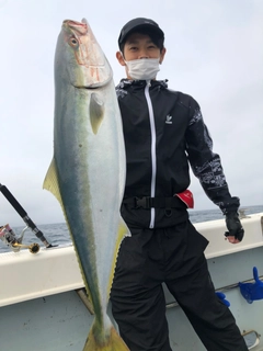 ヤズの釣果