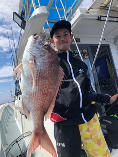 マダイの釣果