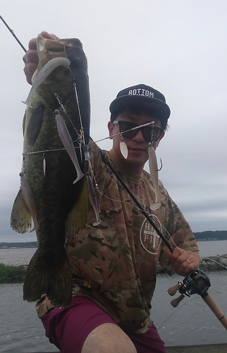 ブラックバスの釣果