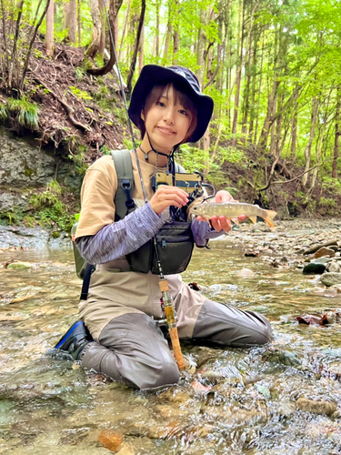 イワナの釣果