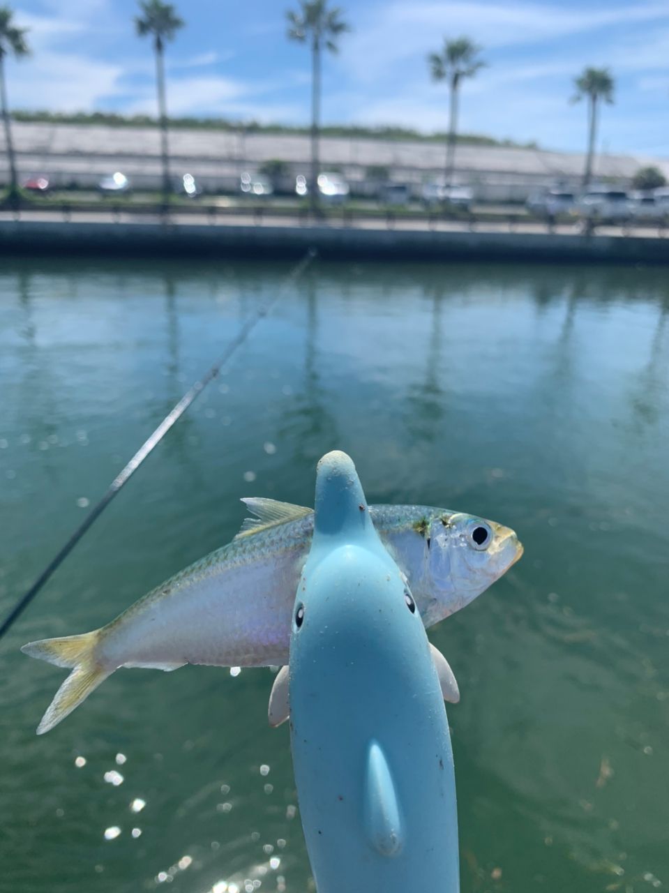 サッパ