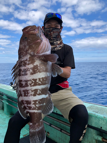 マハタの釣果