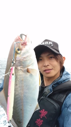 ショゴの釣果