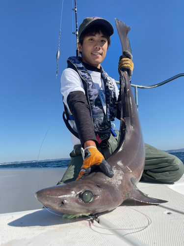 タロウザメの釣果