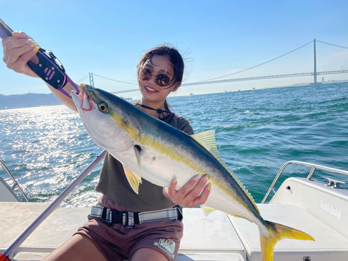 ハマチの釣果