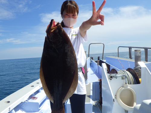 ヒラメの釣果