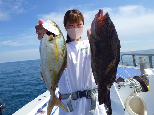 カンパチの釣果