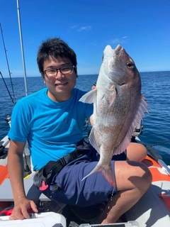 マダイの釣果