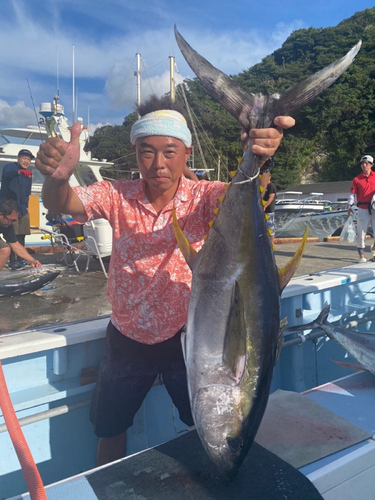 キハダマグロの釣果