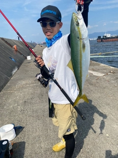 ハマチの釣果