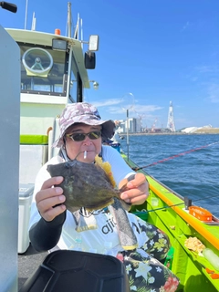 カワハギの釣果
