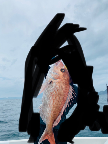 タイの釣果