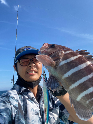 マハタの釣果