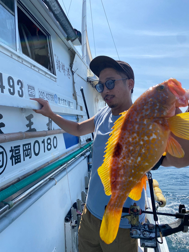 アコウの釣果