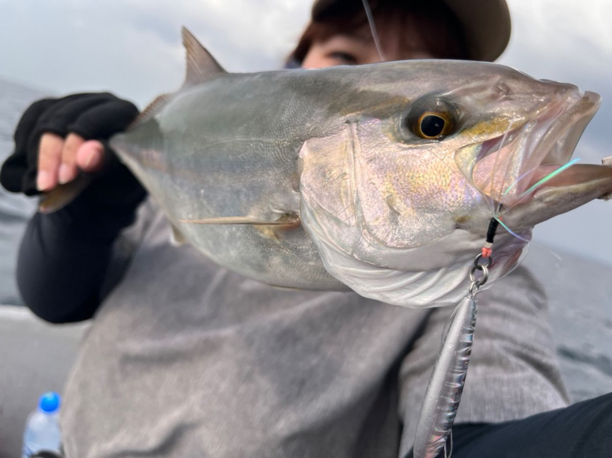 あや🐟さんの釣果 2枚目の画像