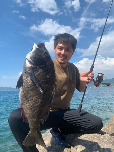 チヌの釣果