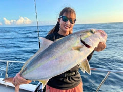 カンパチの釣果