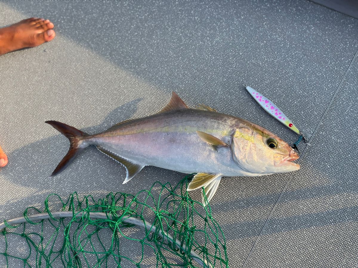 のぞみん🤍🎣さんの釣果 2枚目の画像