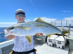 ヒラマサの釣果