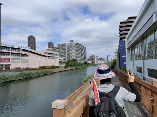 ハゼの釣果