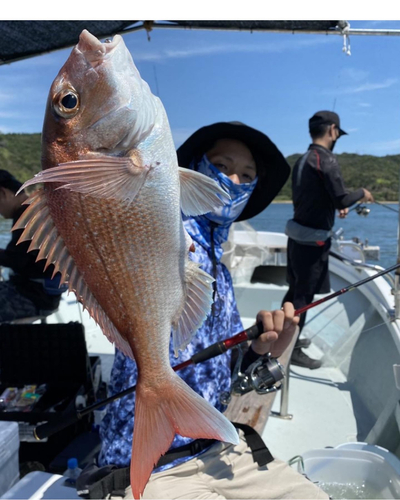 タイの釣果