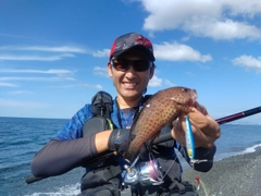 オオモンハタの釣果