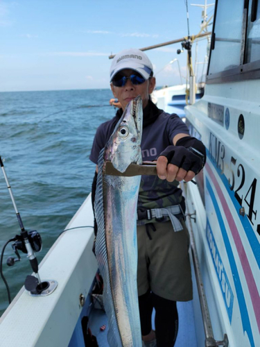 タチウオの釣果